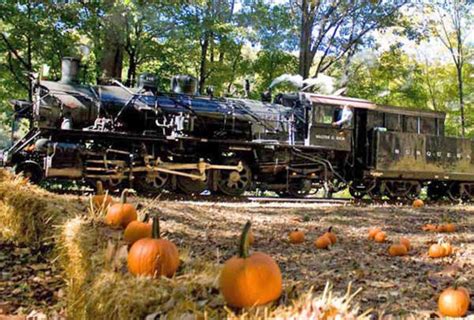 The Delaware River Railroad Excursions