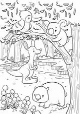 Australian Native Animal Colouring In Digital Download Page  Etsy sketch template