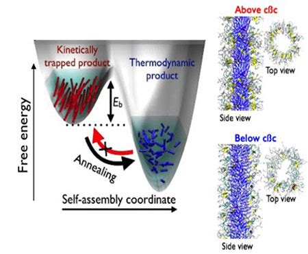 Energy Landscapes and Functions of Self-Assembling Peptide Amphiphile Nanofibers: CBES: Center ...