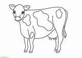 Detail Gambar Mewarnai Sapi Koleksi Nomer 13 sketch template