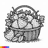 Premium Vector  Fruit Basket Line Art Illustration For The coloring sketch template