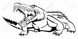 Free Gator Head Coloring Pages Sketch Coloring Page sketch template