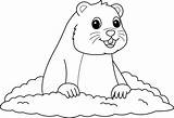 Groundhog Coloring Pages Happy Activities Luking Kids Woodchuck  sketch template