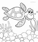 Underwater Plants Coloring Pages At GetColoringscom  Free Printable sketch template