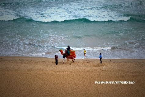 Puri Beach, Puri - Things to Do, Timings & Photos