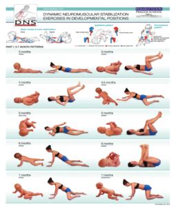 Dynamic Neuromuscular Stabilization Chart Pediatric Physical Therapy Activities, Physical ...