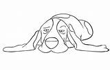 Basset Hound To Print Coloring Page  Free Printable Pages For sketch template