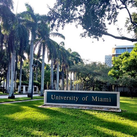 University of Miami | Flickr - Photo Sharing!