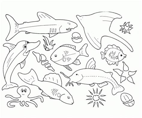 View Realistic Sea Animal Coloring Pages Pics - COLORIST