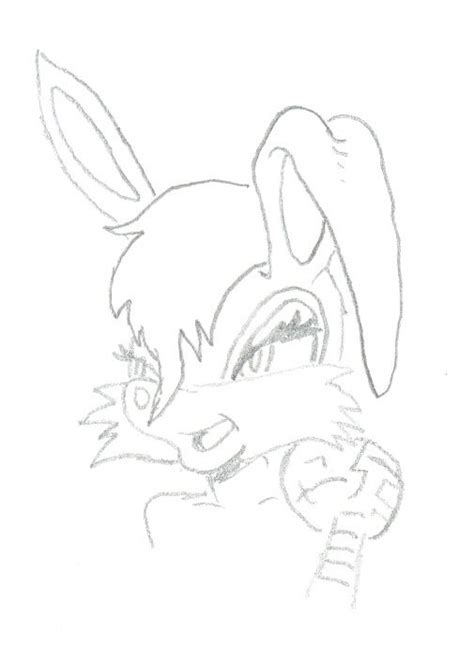 Bunny rabbot drawing by sk8rhog on DeviantArt