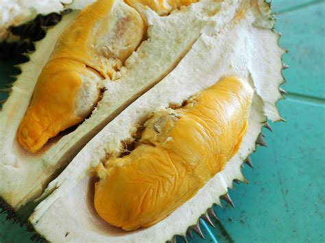 Philippines Durian Varieties Updated