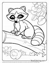 100  Raccoon coloring Pages Free PDF To Print Woo Coloring sketch template
