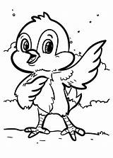 Cute Birds Coloring Pages  Free Printable Sheets For Kids sketch template