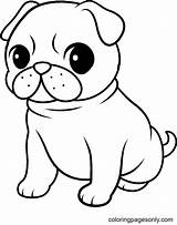 50  Pug Coloring Pages Free Printable PDF JPG PNG & Online sketch template