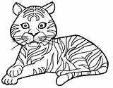 Cartoon Tiger Coloring Pages sketch template