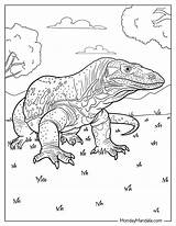 20 Komodo Dragon Coloring Pages Free PDF Printables sketch template