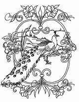 Animated Peacock Coloring Page  Free Printable Pages For Kids sketch template