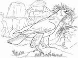 Eagle Coloring Page sketch template