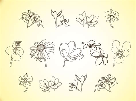 Simple Line Flower Designs