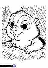 Coloring Page groundhog Day  Free Printable coloring Pages sketch template