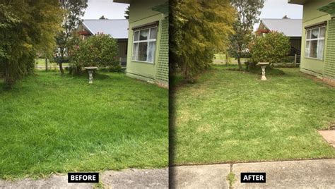 Lawn Mowing Frankston | Top Cut Lawn Mowing