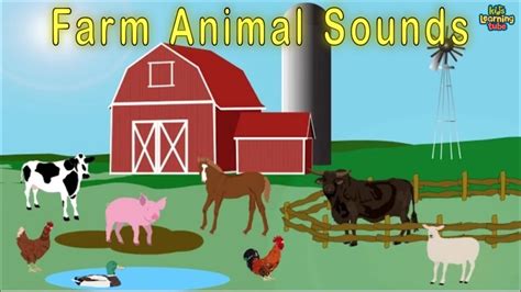 Farm Animal Sounds Song Animals on the Farm - YouTube