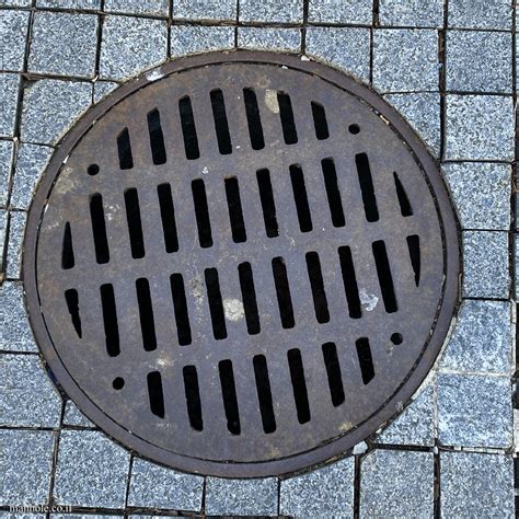 The ultimate manhole covers site | Drainage cover | Cover's details: New Haven - Round drain cover