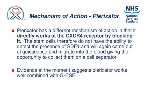 PPT - Stem cell mobilisation and collection in Glasgow including the use of plerixafor ...