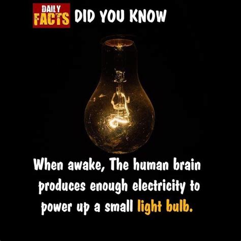 Did You Know: The Human Brain Can Power a Light Bulb When Awake