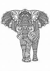 Free book elephant  Elephants Adult Coloring Pages sketch template