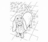 Dover Coloring Book  Dog Lovers sketch template