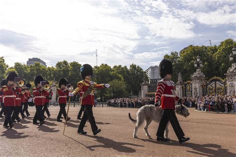 Buckingham Palace sees first new changing of the guard for King Charles ...