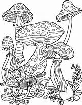 Coloring Pages Of Mushrooms sketch template