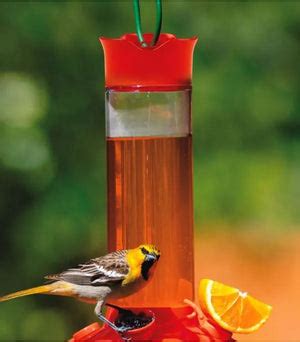 The Ultimate Fruit, Jelly & Nectar Oriole Feeder - Perch Birding Gifts & Supplies