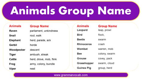 Animals Group Name: Animals Vocabulary | PDF - GrammarVocab