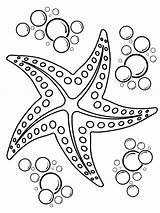 Print 25  Free Starfish Coloring Pages For Kids ⭐🐟 sketch template