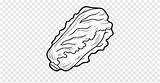 Romaine Lettuce Coloring Page sketch template