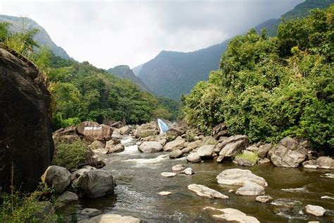 Virgin Valley Pathrakadvu (Mannarkkad) - 2020 What to Know Before You Go (with Photos) - Tripadvisor