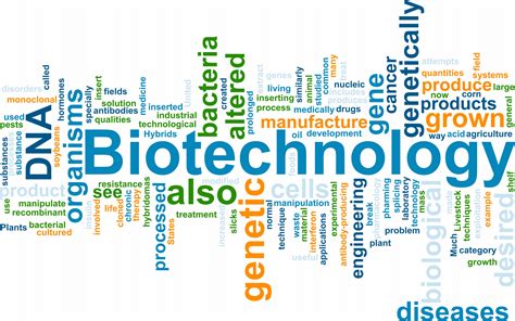 Six Companies to Watch in the Emerging Santa Cruz Biotech Hub - Santa ...