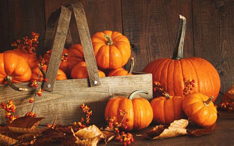 Download A mesmerizing Fall Pumpkin display against a rustic background ...