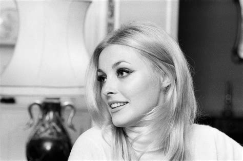 70rgasm:Sharon Tate photographed during an interview in her Belgravia apartment, 1965 - Tumblr Pics