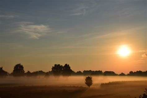 Free Images : landscape, tree, nature, horizon, light, cloud, sun, fog, sunrise, sunset ...