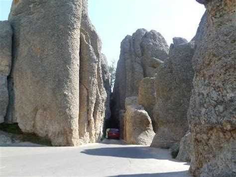 Magnificent Rock formations by The Eye of the Needle and tunnel. | Needles highway, Custer state ...