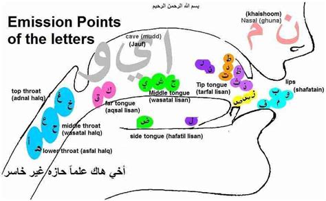 Soft Tarbiyah- Learn Arabic, Quran and Islamic Manners Online ...