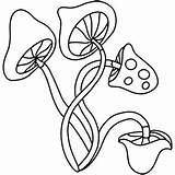 Mushroom Coloring Pages  Printable Kids Drawing Hub sketch template