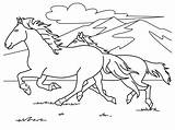 Free Printable Horse Coloring Pages For Kids sketch template