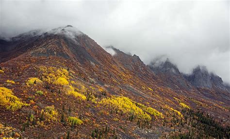 A Year on the Road (Part 3): Tombstone Territorial Park | Switchback Travel