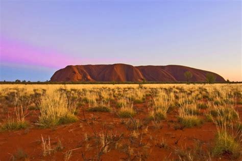 Tours from Uluru / Ayers Rock to the Olgas, MacDonnell Ranges | Red Centre.com.au