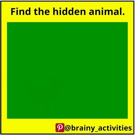Find the hidden animal. | Riddles, Classroom, Animals