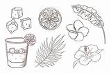 Coctel De whisky Con Soda Flores Y Hojas Tropicales Para Colorear  sketch template